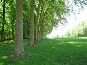 Vaux-le-Vicomte, gardens
