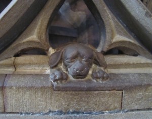 Le chien porte-bonheur, Cathédrale de Strasbourg