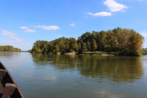 Promenade en bateau sur la Loire