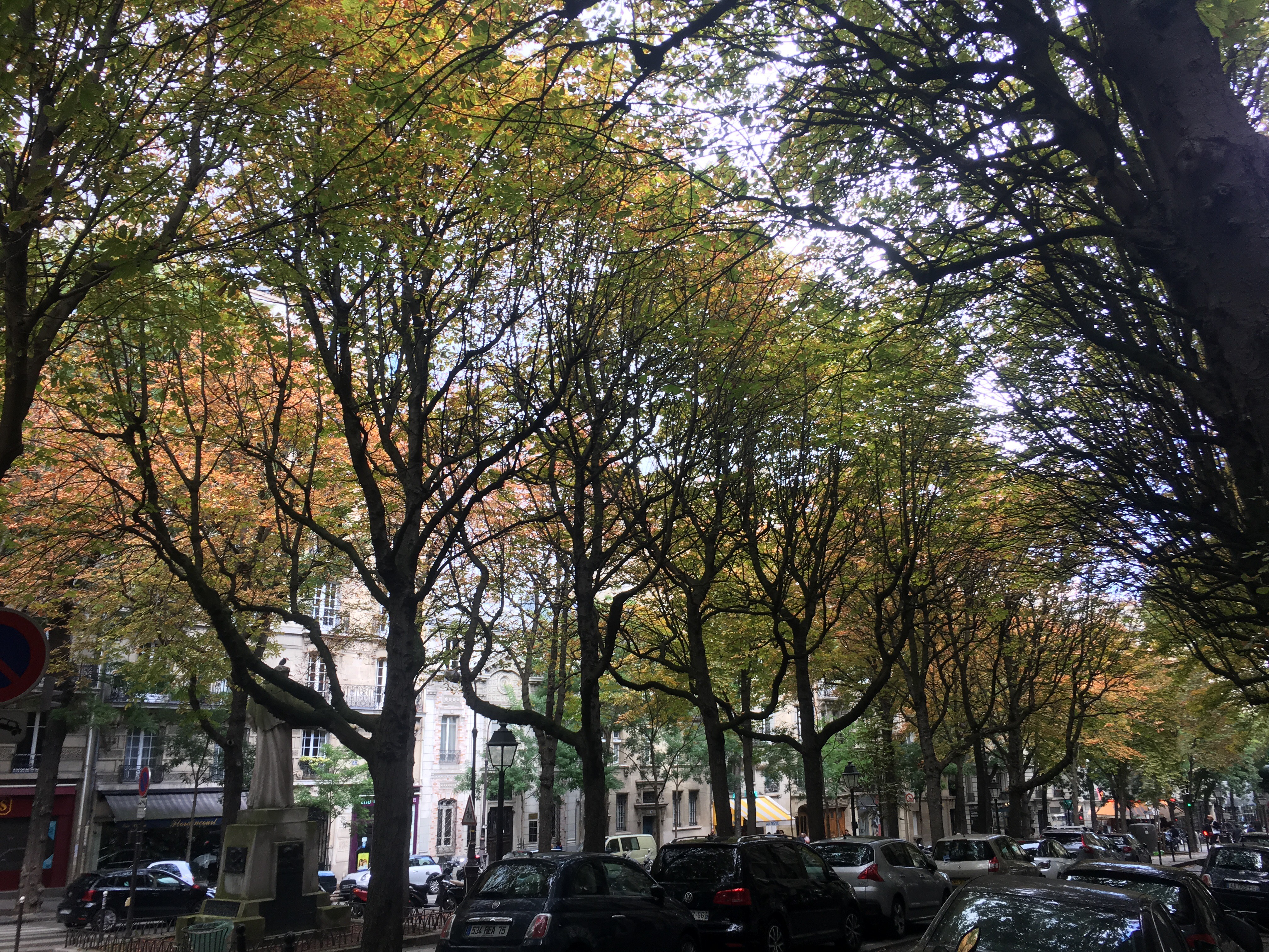 Boulevard parisien